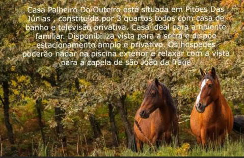 Fraga de Pitões - Foto 17