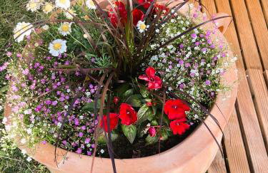 Villa Caroiba - Foto 6