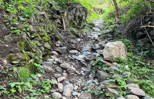 Ecobaita del Cacciatore - Foto 28