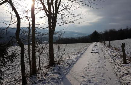 Ferienwohnung Müller - Foto 7