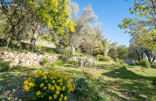 Le Clermont - Foto 26