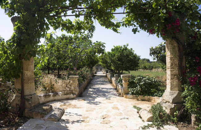 Masseria Capece - Photo 33