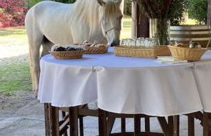 Mas de Cerier - Foto 14