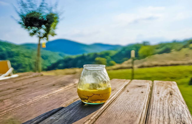 Belvilla by OYO Timo - Photo 20