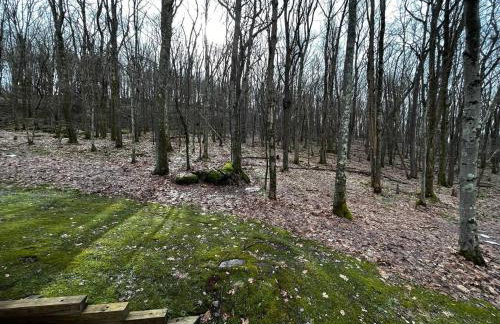 Cozy Cabin - Foto 32