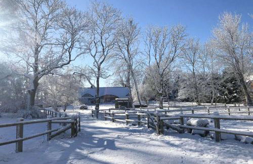 F-1081 Ferienwohnung Pfarrhof in Garz - Foto 29