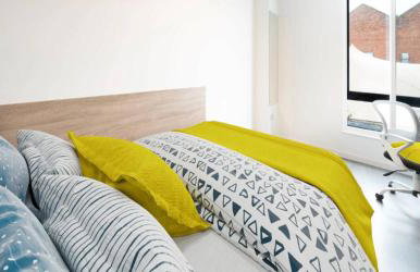 Student Only Ensuite at Canvas The Malthouse - Foto 8