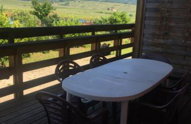 gîtes au domaine Greiner - Foto 24