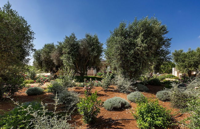 3153 Casa Diora by Perle di Puglia - Foto 70