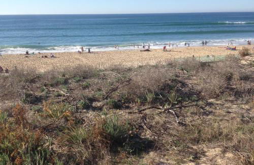 Residence Oceanis - Foto 29