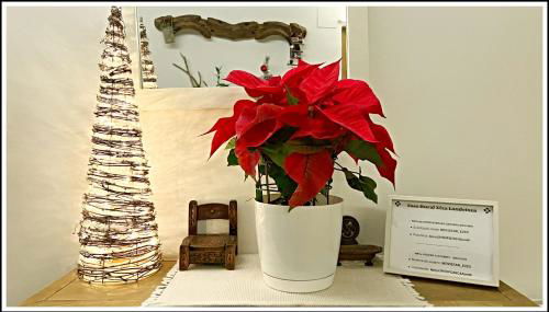 Casa Rural Xixa Landetxea - Foto 4