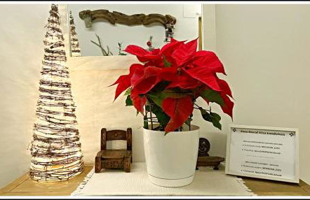 Casa Rural Xixa Landetxea - Foto 4