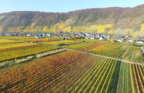 Ferienwohnungen Georg Andre Söhne - Foto 29