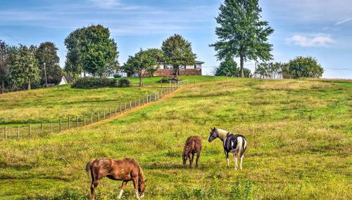 Mammoth Cave Rental on 50 Acres Shared Amenities - Foto 3