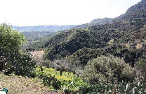 Azienda Agrituristica Le Puzelle - Photo 51