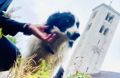 Ferienwohnungen JoJaSa - Foto 46