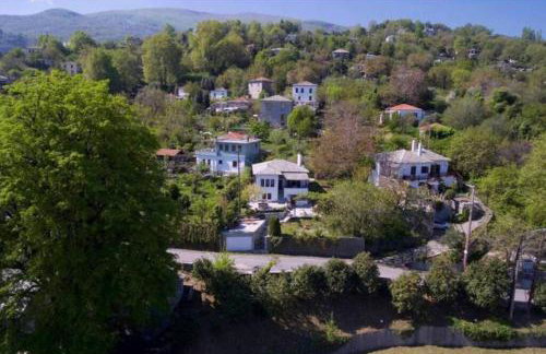 Sea & Mountain Pelion - Foto 27