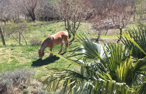 Agriturismo Bellavista - Foto 8