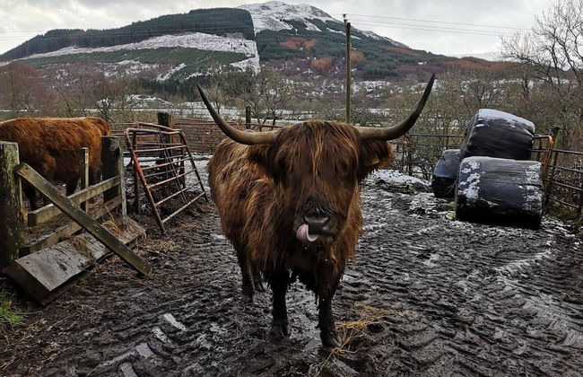 Cosy Modern Nordic Lodge w/ Loch View & Log Burner - Photo 28
