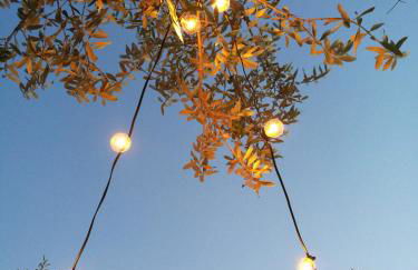 Porta Sugli Ulivi - Foto 25