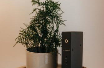 Charmante Wohnung mit Garten im Briller Viertel - Foto 50