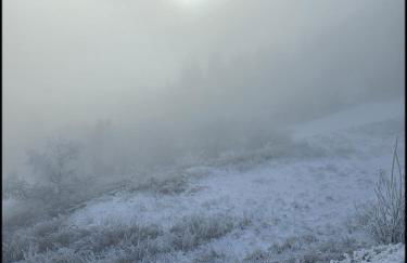 Sur la rive du Lac - Foto 22