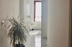 Elena’s home - Foto 20