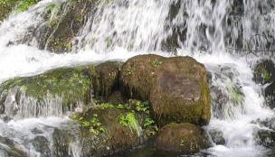 Casa González - Foto 2