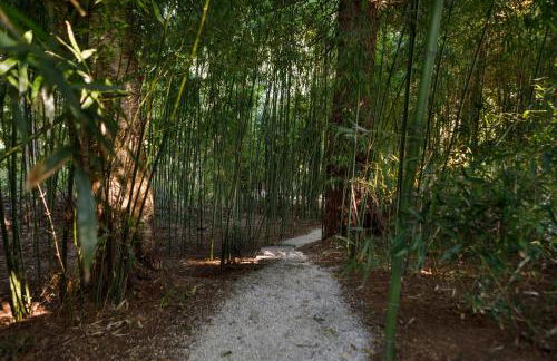 Finca La Peñiga - Foto 34