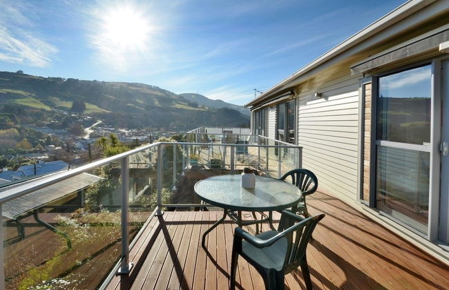 Baldwin Street BNB - Foto 28