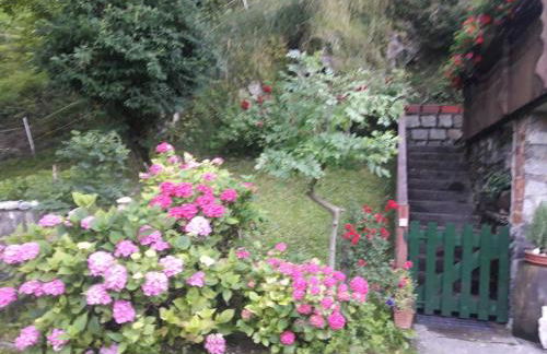 CASETTA INDIPENDENTE NEL VERDE PER 2/3 PERSONE - Photo 9