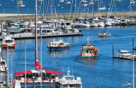 Vue Panoramique sur Bassin,Piscine et terrasse - Foto 7