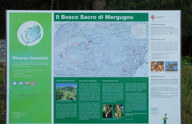 Baita Pimpisnino - Foto 33