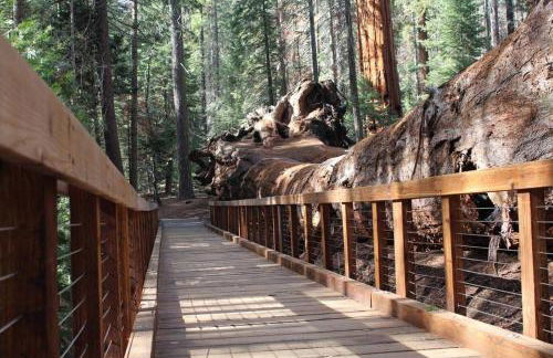 Shirley Creek Retreat: a Mountain Oasis - Foto 46