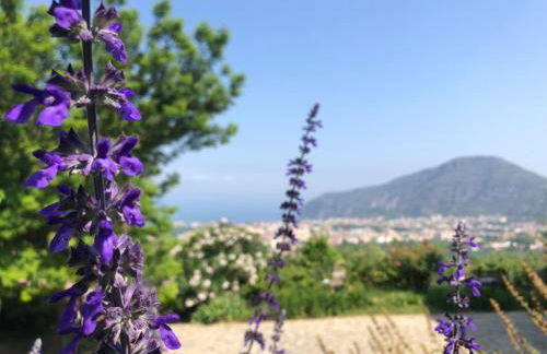 Agriturismo L'Olivara - Foto 35