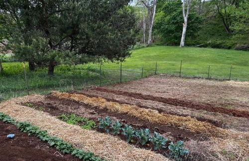 Walnut Run Farm - Foto 24