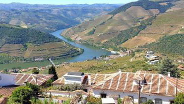 Riba Loivos Village - Casa C - T3 - Foto 5