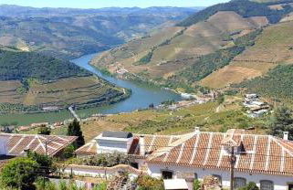 Riba Loivos Village - Casa C - T3 - Foto 5