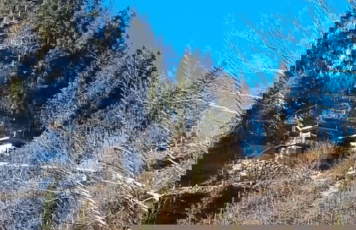 Villa Alpenpanorama - Foto 38