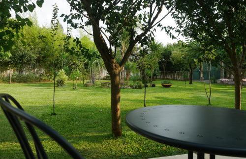 Casa da Tapada - Grupo Casas Vale do Lima - Photo 13