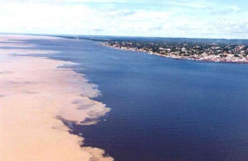 Casa Cantinho de Santarém - Foto 31