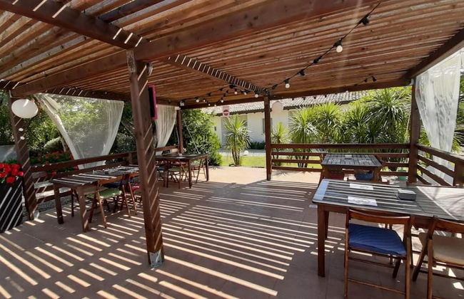 Oca Giuliva - Foto 12