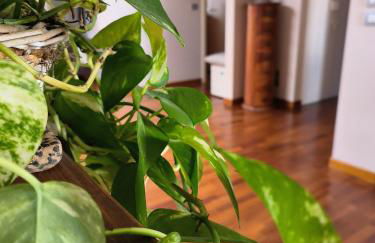 Casa vacanze Annina - Foto 1