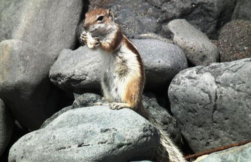 MarVillaFuerte - Foto 23