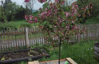 Pod Bieszczadem - Foto 9