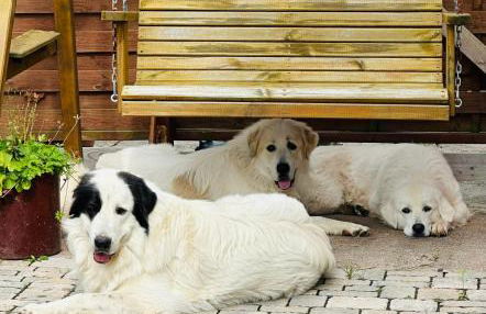 Ferienwohnung “Mount Meißner” - Foto 16