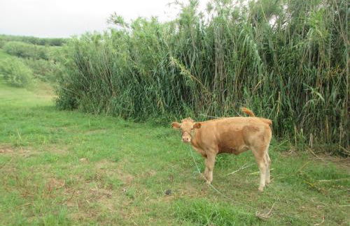 Quinta da Maria - Foto 7