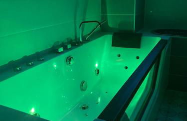 Au bord du gave - Foto 14