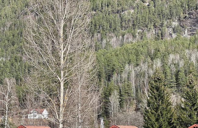 Sanda Camping - Photo 44