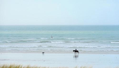 Le Crépuscule, 300m de la plage, animaux de compagnie bienvenue - Foto 5